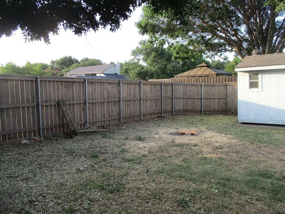 Cleared yard after professional tree removal in Wenatchee